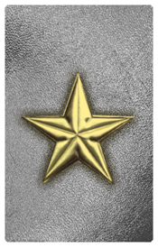 DNSHERT C 430 GD SL Star Gold Silver